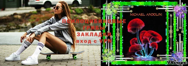 мет Корсаков