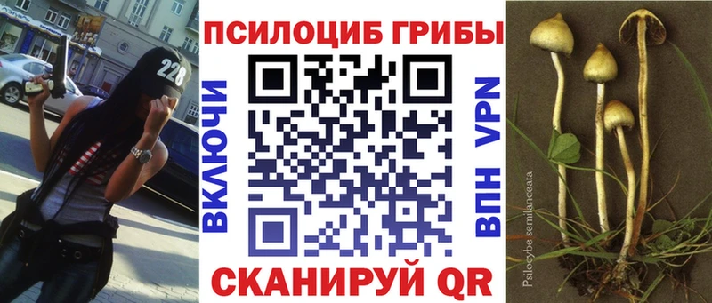 Псилоцибиновые грибы мицелий Луга